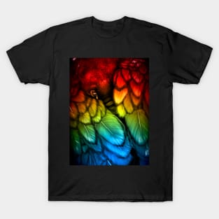 Blackbird - Rainbow Edition T-Shirt